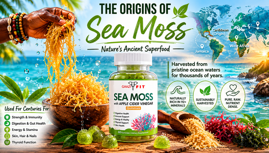 The Ancient Origins of Sea Moss: From Ocean Depths to Your Daily Wellness Ritual