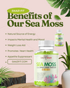 Organic Sea Moss/Apple Cider Vinegar Gummies Vegan (30 Day Supply)+Meal Plan