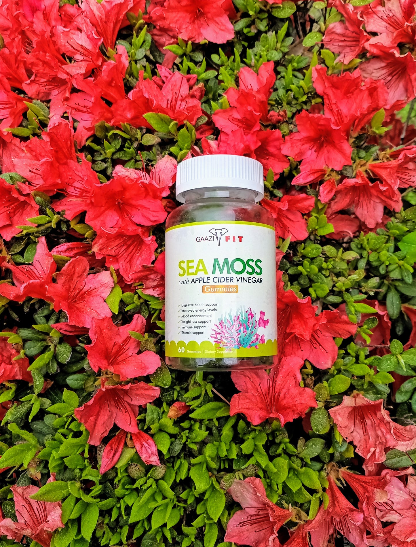 Organic Sea Moss/Apple Cider Vinegar Gummies Vegan (30 Day Supply)+Meal Plan