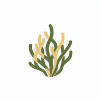 Sea Moss